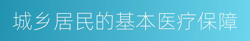 城乡居民的基本医疗保障的同义词