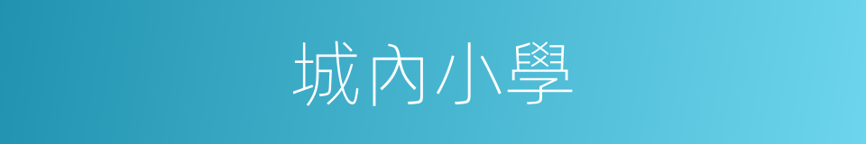 城內小學的同義詞