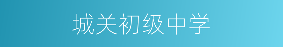 城关初级中学的同义词
