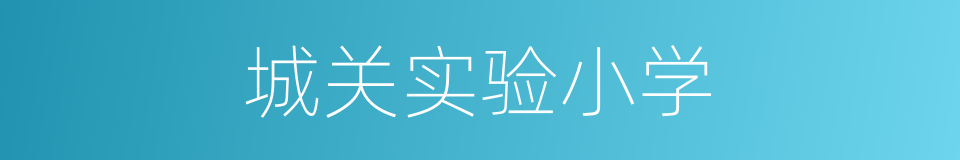 城关实验小学的同义词