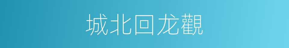 城北回龙觀的同義詞