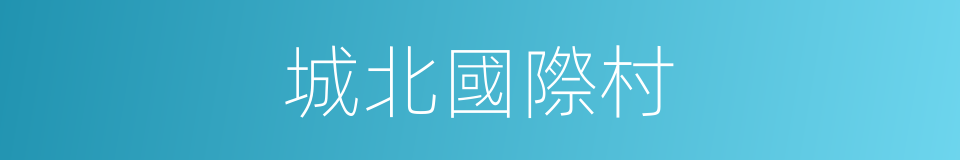 城北國際村的同義詞