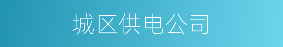 城区供电公司的同义词