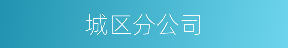 城区分公司的同义词