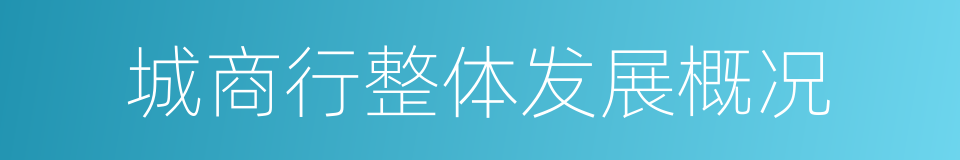 城商行整体发展概况的同义词