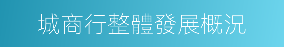城商行整體發展概況的同義詞