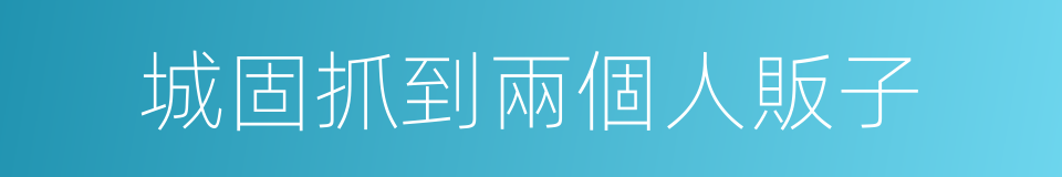 城固抓到兩個人販子的同義詞