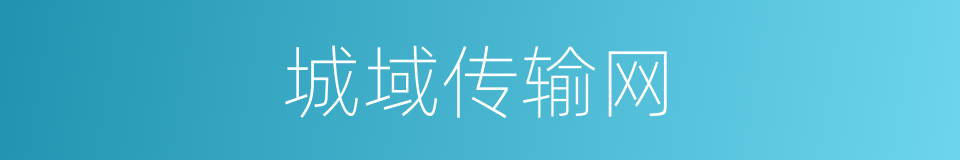 城域传输网的同义词