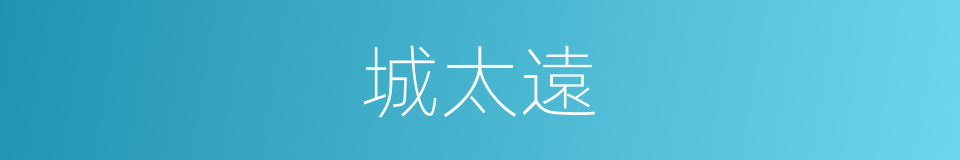 城太遠的同義詞