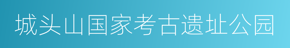 城头山国家考古遗址公园的同义词