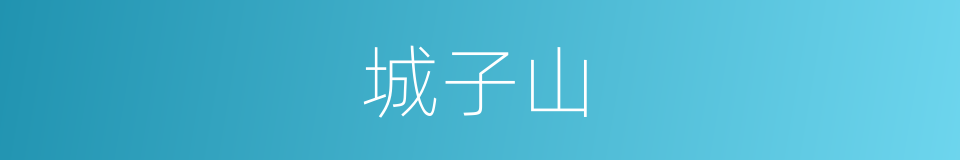 城子山的同义词