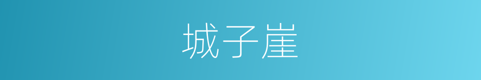 城子崖的同义词