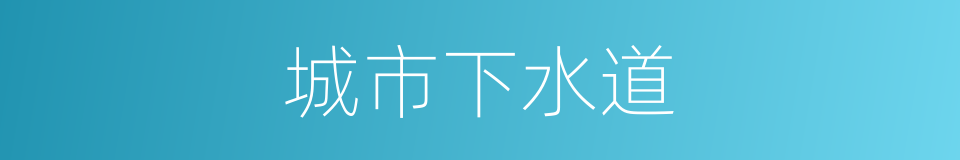 城市下水道的同义词