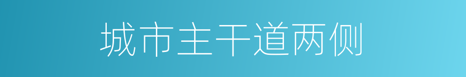 城市主干道两侧的同义词