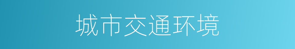 城市交通环境的同义词