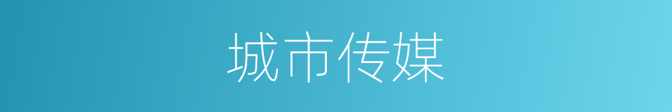 城市传媒的同义词