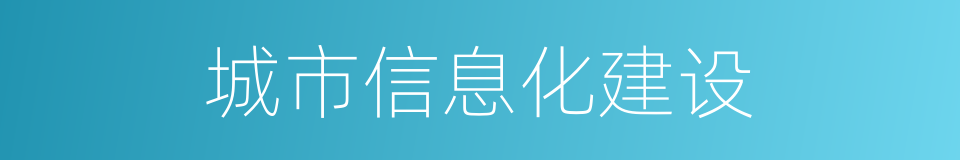 城市信息化建设的同义词