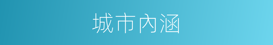 城市內涵的同義詞