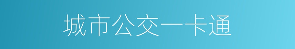 城市公交一卡通的同义词