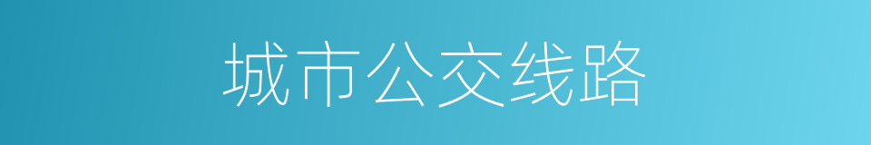 城市公交线路的同义词