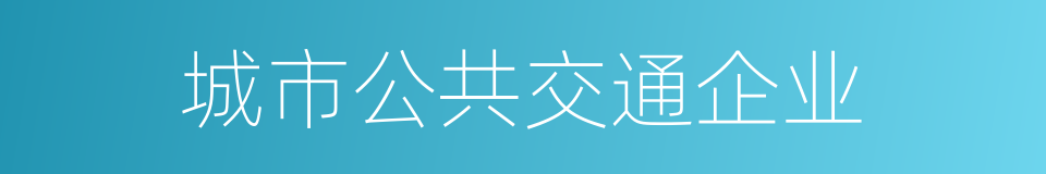城市公共交通企业的同义词