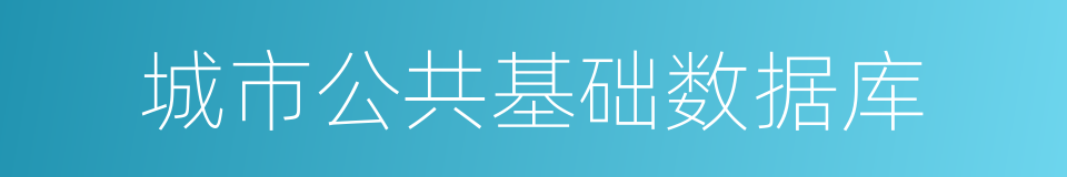 城市公共基础数据库的同义词