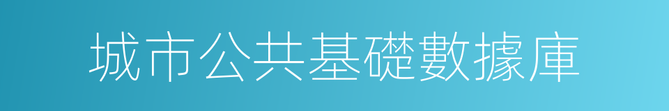 城市公共基礎數據庫的同義詞