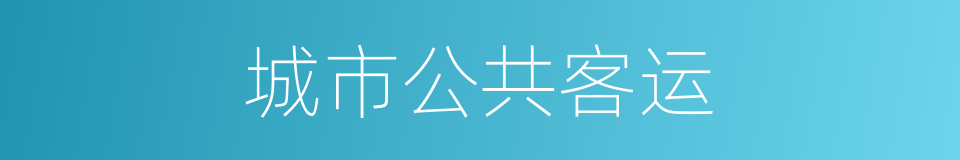 城市公共客运的同义词