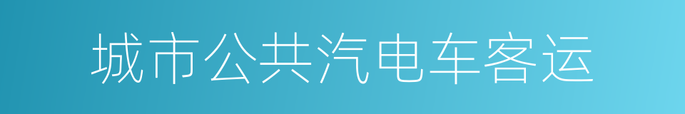 城市公共汽电车客运的同义词