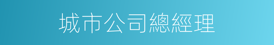 城市公司總經理的同義詞