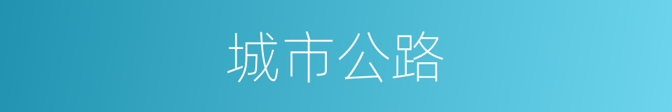 城市公路的同义词