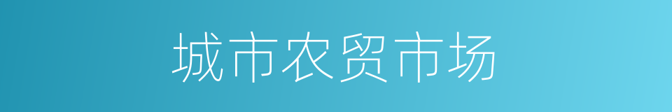 城市农贸市场的同义词