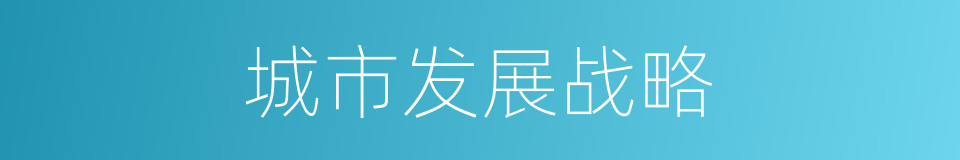 城市发展战略的同义词