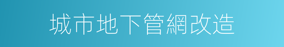 城市地下管網改造的同義詞
