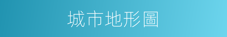 城市地形圖的同義詞