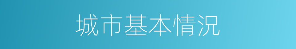 城市基本情況的同義詞