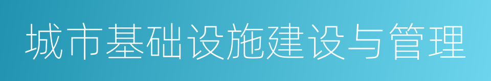 城市基础设施建设与管理的同义词