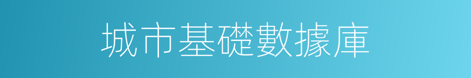 城市基礎數據庫的同義詞