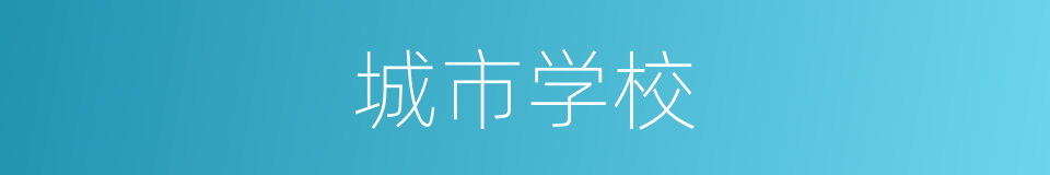 城市学校的同义词