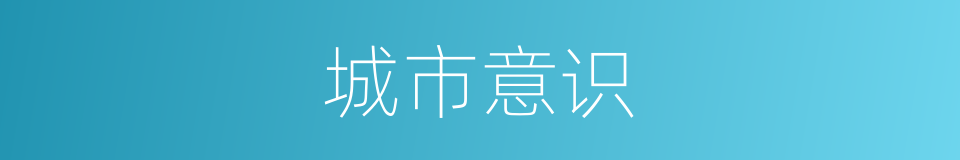 城市意识的同义词
