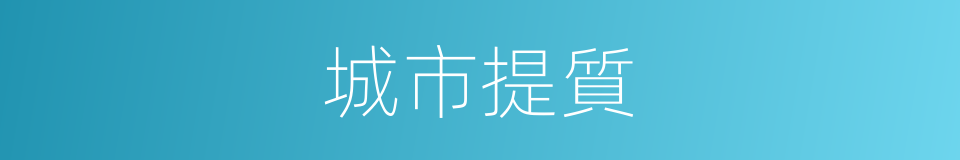 城市提質的同義詞
