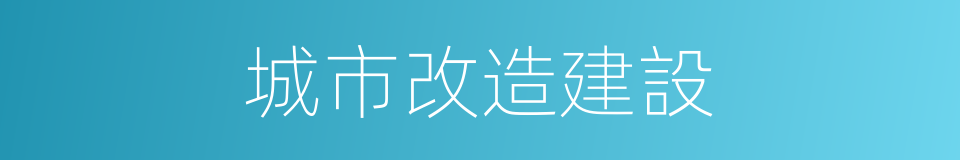 城市改造建設的同義詞