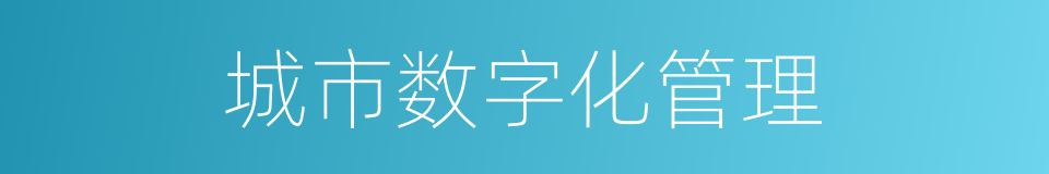 城市数字化管理的同义词