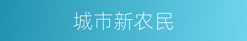 城市新农民的同义词