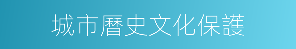 城市曆史文化保護的同義詞