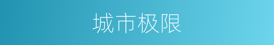 城市极限的同义词