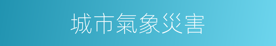 城市氣象災害的同義詞