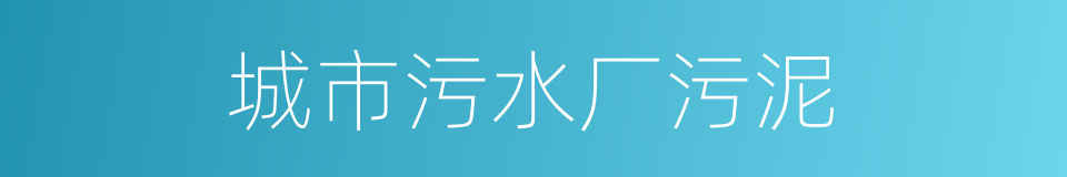 城市污水厂污泥的同义词