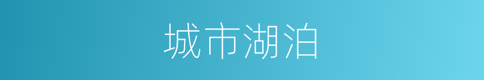 城市湖泊的同义词