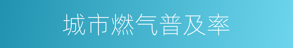 城市燃气普及率的同义词